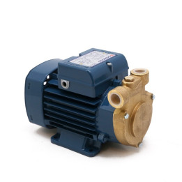 Pompa Pedrollo PQm81-BS - 8.0bar G1/2"xG1/2", 230V/50Hz (41PQ88YA1)